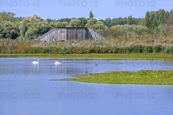 Birdwatching bird hide