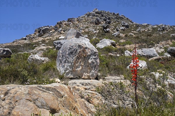 Top of Swartberg Pass on the R328 running over the Swartberg mountain range between Great Karoo and Little Karoo