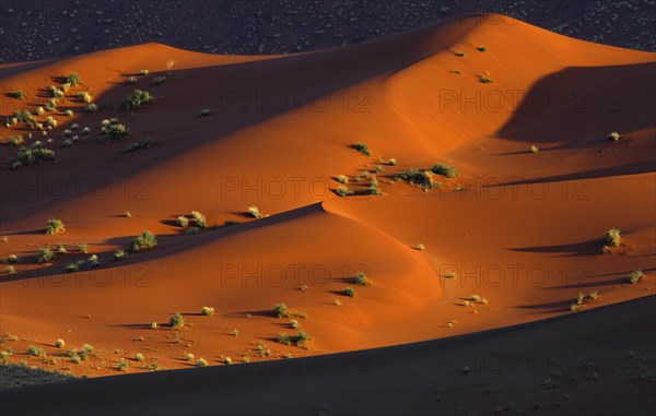 Red sand dunes of the Sossusvlei