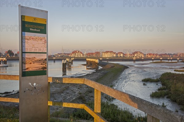 Salt marsh and mudflats at the nature reserve De IJzermonding at Nieuwpoort