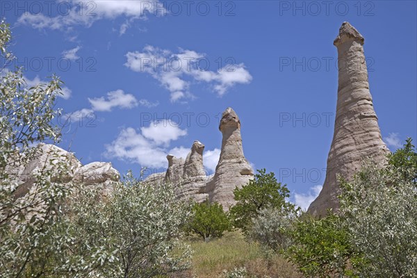 Hoodoos