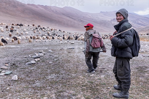 Two goat headers from the Changpa nomads people