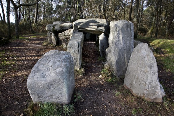 Dolmen de Mane-Groh