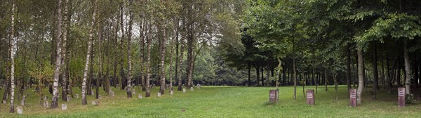 The Bois de la Paix