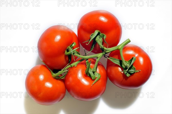 Bunch of vine tomatoes