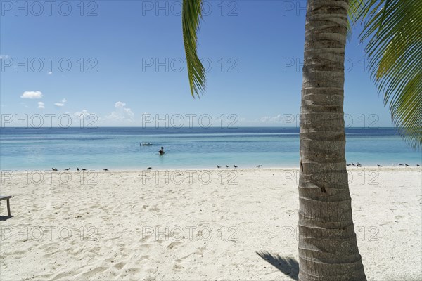 Beach on the private island of Coco Cay aka Little Stirrup Cay