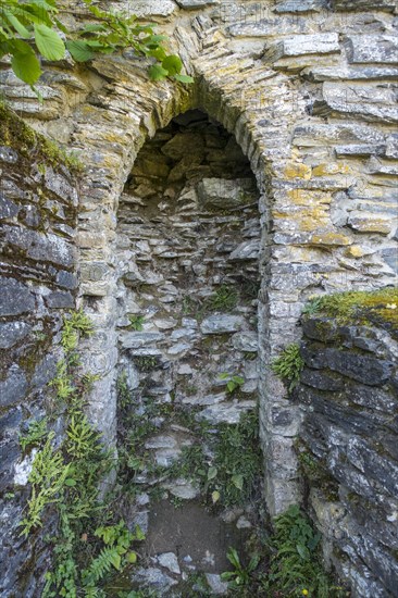 Ruines of the 13th century Chateau d'Herbeumont