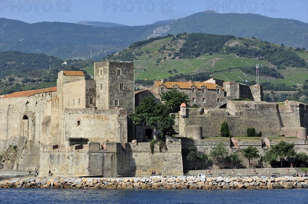 The fort Chateau royal de Collioure