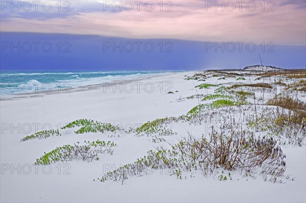 White quartz sand dunes at sunset along the Gulf of Mexico at Gulf Islands National Seashore in winter