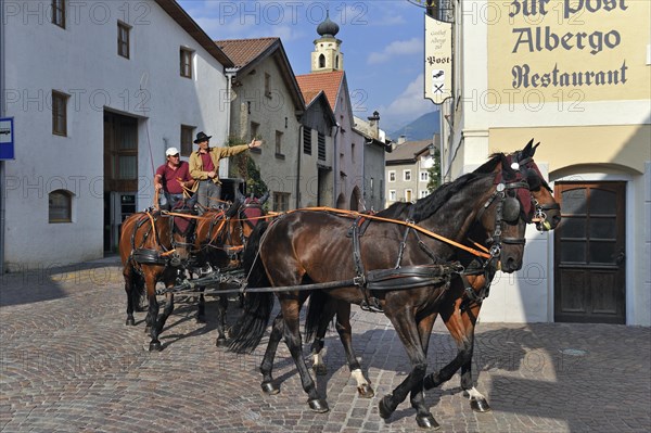 Horses with carriage in the streets of Glorenza