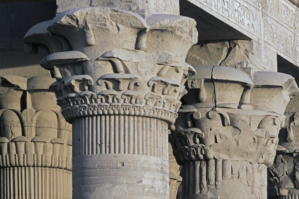 Papyrus shaped columns at the Temple of Kom Ombo