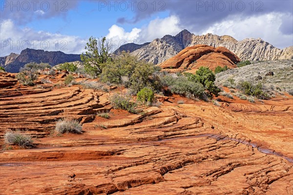 Layered Navajo sandstone of the Red Mountains in Snow Canyon State Park