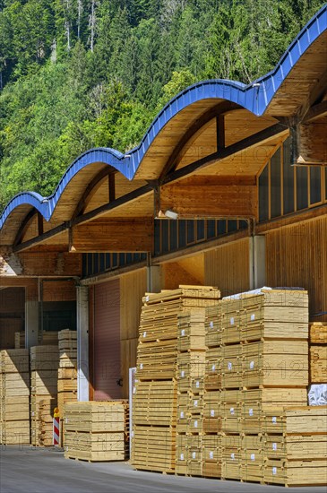Large warehouse with stacks of boards in a sawmill