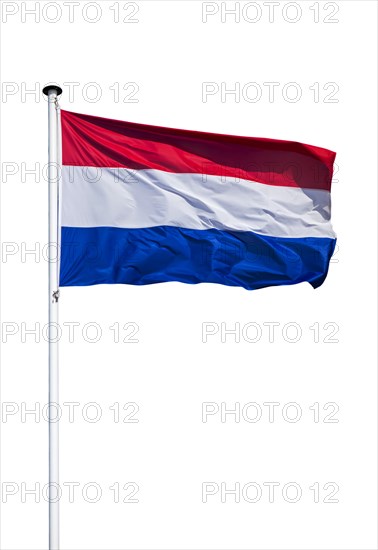 Dutch national flag of the Netherlands on flagpole flying in the wind against white background
