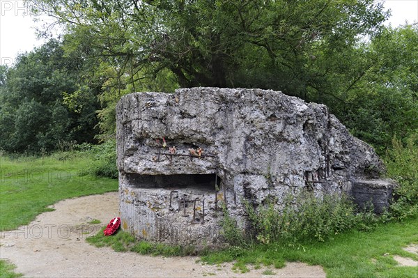 Ruin of First World War German pillbox on Hill 60 at Zillebeke