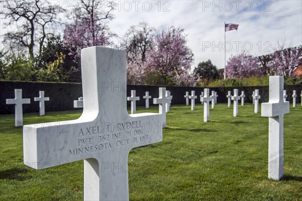 Crosses at the Flanders Field American Cemetery and Memorial at Waregem