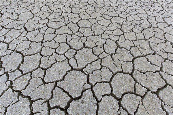 Abstract pattern of dry cracked clay mud in dried up lake bed