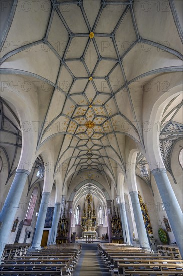 The Roman Catholic collegiate church of St. Philipp and St. Jakob