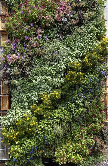 Overgrown wall at the Federal Horticultural Show