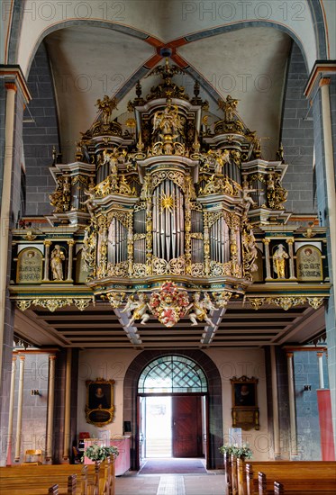Organ in the Martini Church