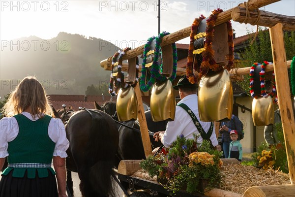 Cowbells on a horse-drawn carriage