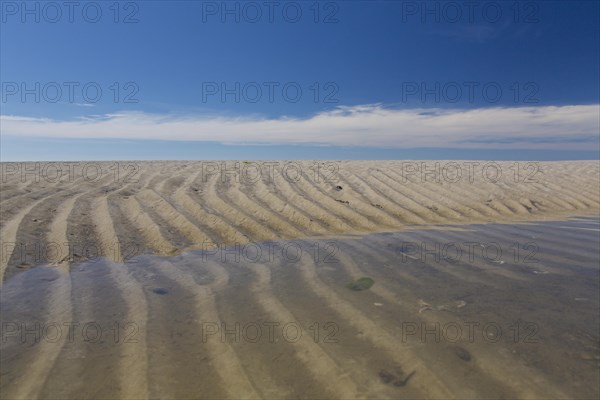 Sand ripples on mud flat