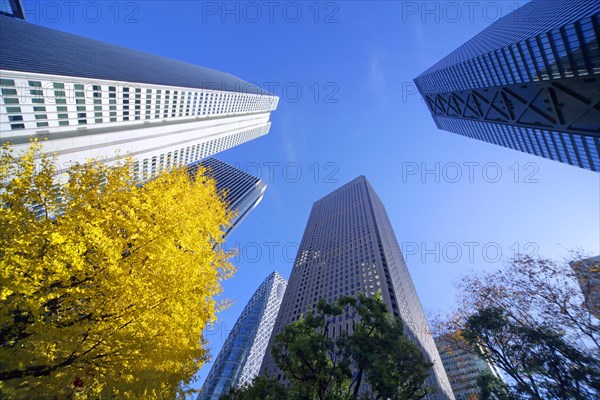 Skyscrapers in Shinjuku Tokyo Japan