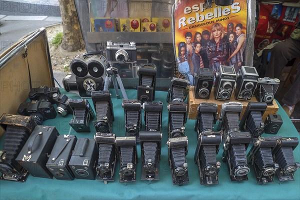 Old bellows cameras for sale at a stall at the Fohmarkt