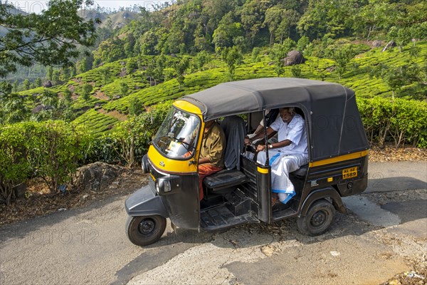 Autorickshaw rides through Pothamedu tea plantation