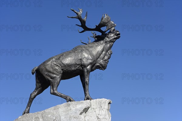 Caribou at the Beaumont-Hamel Newfoundland Memorial