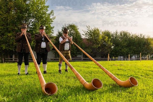 Alphorn blowers