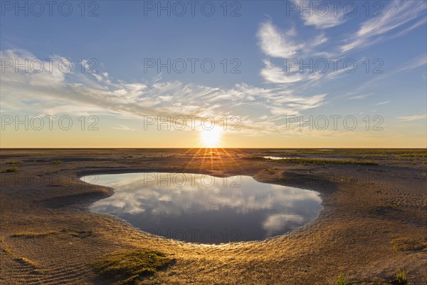 Tidal pool in mudflat at sunset