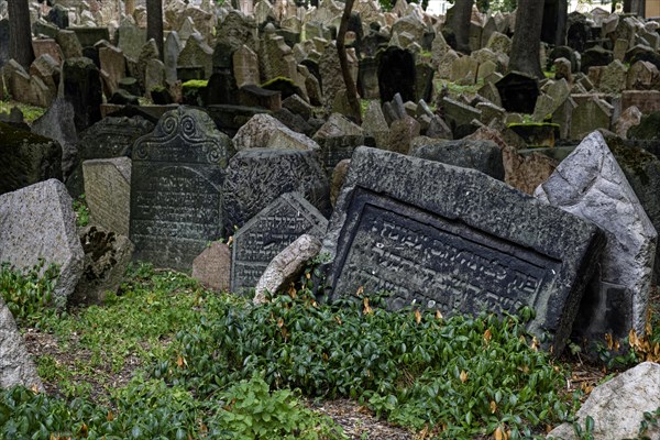 Old Jewish Cemetery