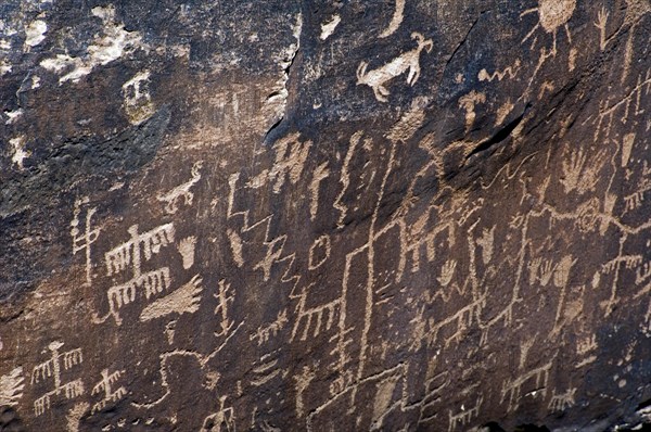 Newspaper Rock showing Anasazi Indian petroglyphs in the Petrified Forest National Park