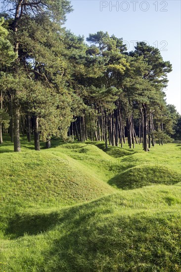 Preserved battlefield showing bomb craters near the Canadian National Vimy Memorial