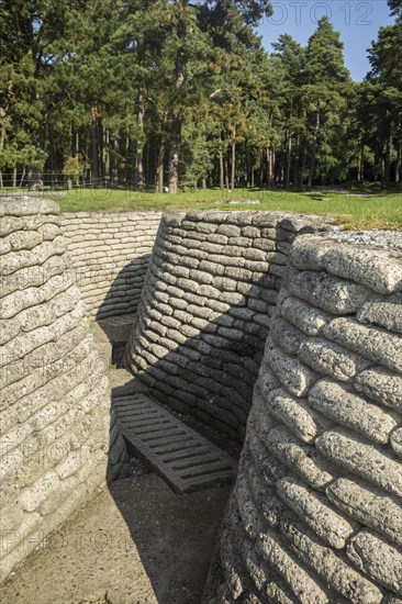 Preserved battlefield showing trenches near the Canadian National Vimy Memorial