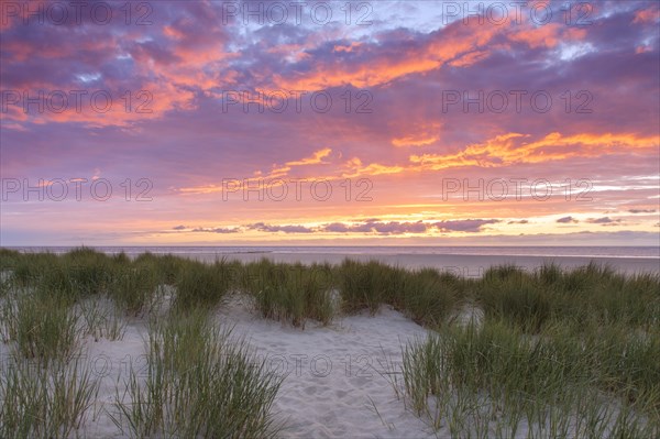 Beach and marram grass