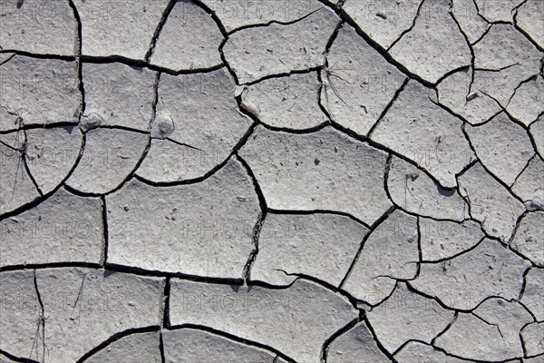 Dry cracked mud in dried out pond