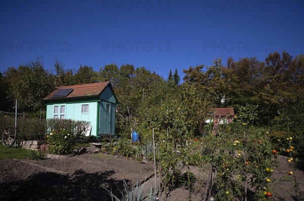 Garden shed