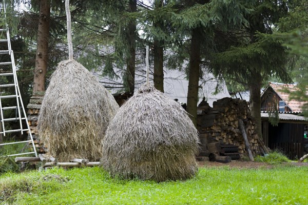 Haystack in a meadow in the Spreewald