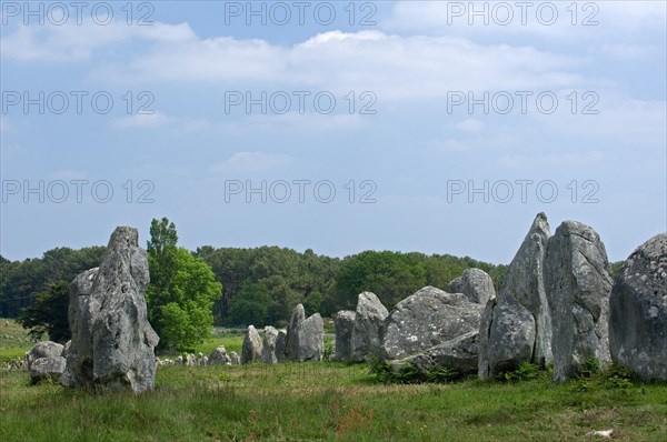 Standing stones in the Kermario alignment at Carnac