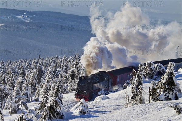 Steam train riding the Brocken Narrow Gauge railway line in the snow in winter at the Harz National park