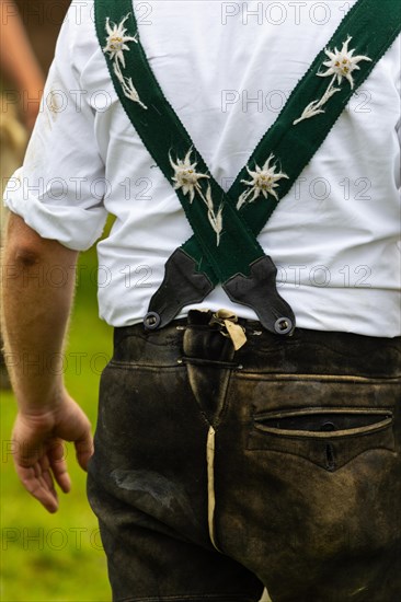 Alpine herdsman on the meadow