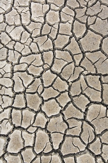 Abstract pattern of dry cracked mud in dried up wetland caused by prolonged drought in summer in hot weather temperatures