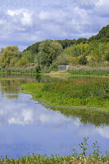 Birdwatching bird hide