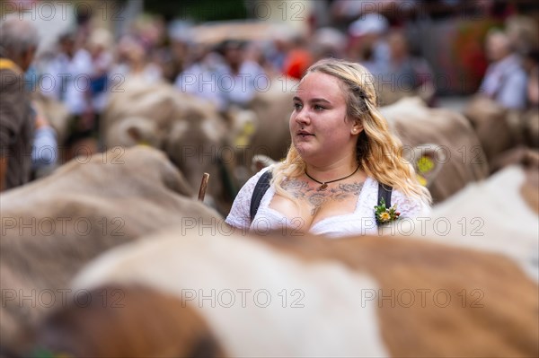 Alpine herdswoman leading Alpine cattle