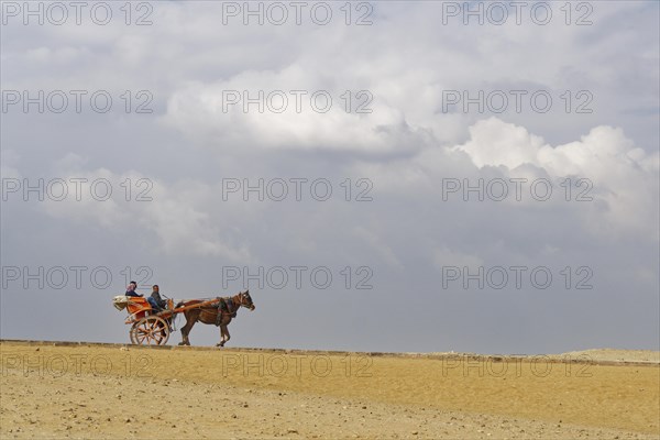 Two-wheeled horse-drawn carriage with tourist driving over road in the desert