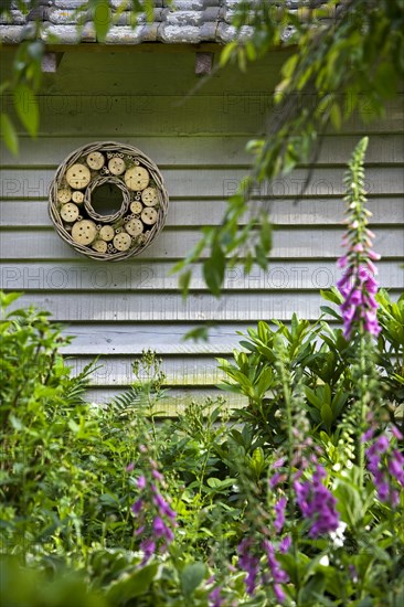 Insect hotel for solitary bees and wasps hanging from garden house