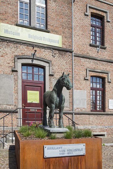 Belgian Draught Horse