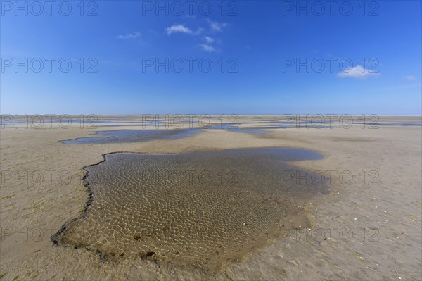 Shallow tidal pools on mudflat